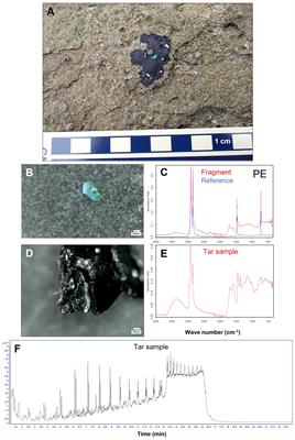 Plastitar records in marine coastal environments worldwide from 1973 to 2023